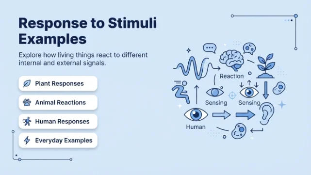 Response to Stimuli Examples