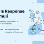 What Is Response to Stimuli
