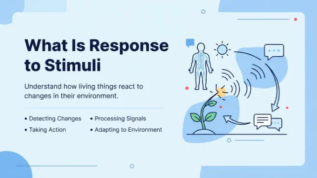 What Is Response to Stimuli